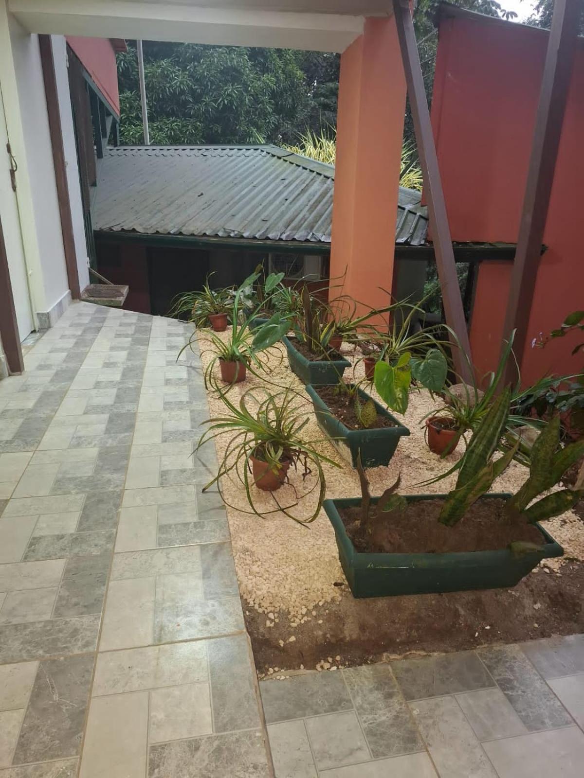 San Rafael Ecolodge La Tigra  Екстер'єр фото